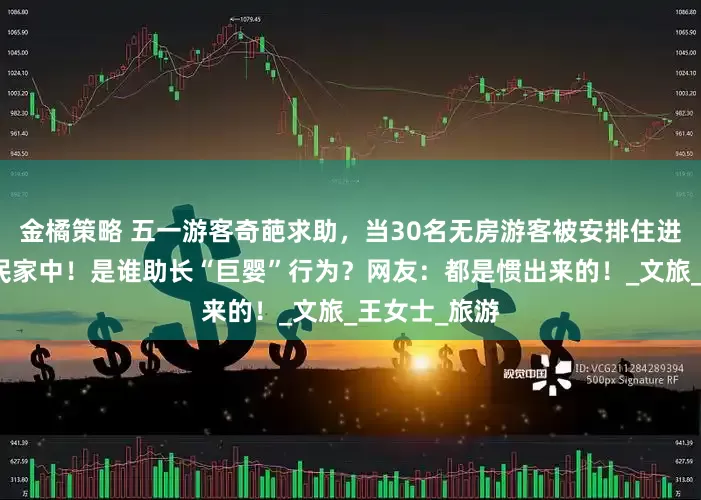 金橘策略 五一游客奇葩求助，当30名无房游客被安排住进局长家和市民家中！是谁助长“巨婴”行为？网友：都是惯出来的！_文旅_王女士_旅游
