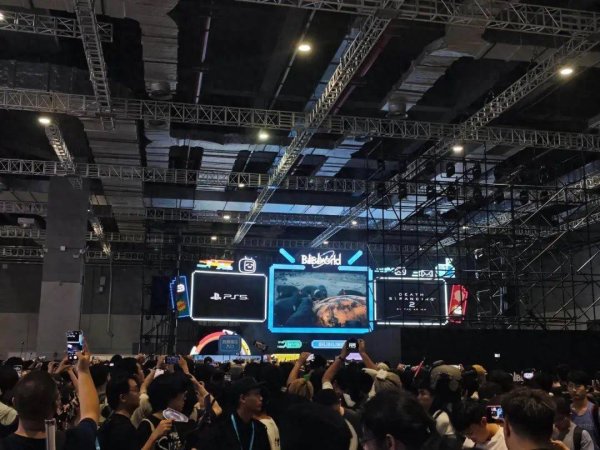 逸富盈策略 我在BW，被二次元挤爆了